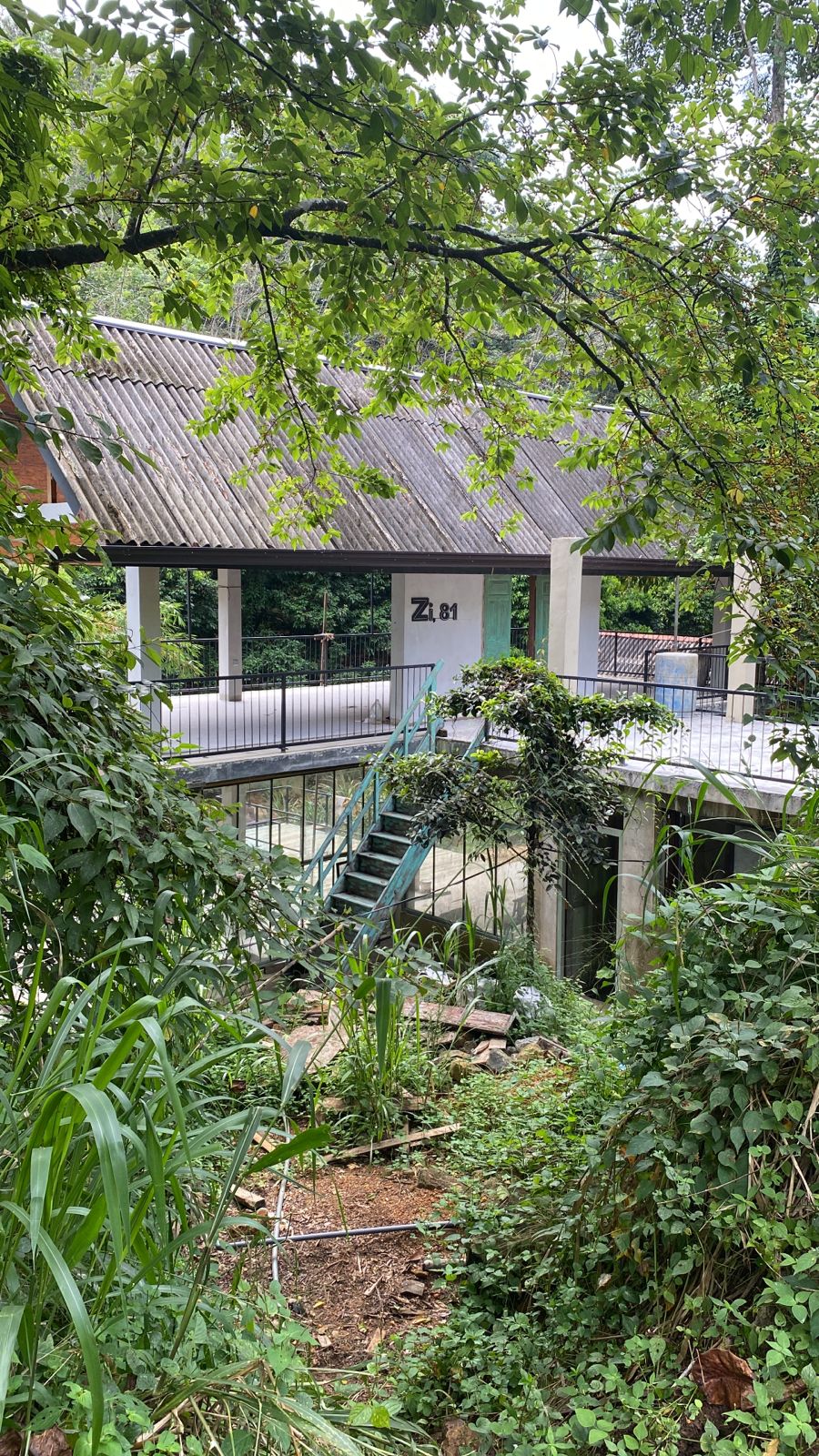 ZI81 Resort